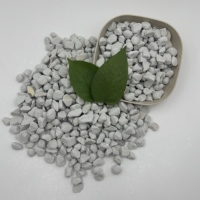 Mélange d'amendement de sol en perlite expansée 1-3mm, 3-6mm, 5-10mm pour l'amélioration du drainage des substrats de tourbe et de coco