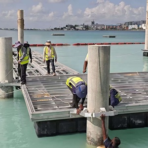 Sistema de muelle flotante de Lago de aluminio con pistón-Origen de Guangdong - Product Image 2