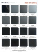 Panneau mural en acier inoxydable 201 304 316L brossé PVD titane noir HL202 pour la décoration de villa