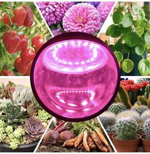 หลอดไฟ LED A19 B22/E26/E27 1000K แสงเดย์ไลท์ 80lm/W SMD พลาสติก AC 85-265V อายุการใช้งาน 30000 ชั่วโมง CRI 80 ปรับความสว่างได้ 500lm สำหรับคลังสินค้า - Product Image 6