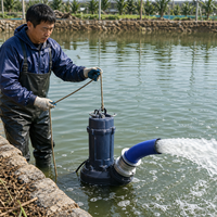 Pompe à eau propre submersible portable haute qualité à haut débit de 40 mètres pour l'irrigation