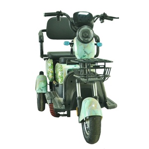 Triciclo Eléctrico <span class=keywords><strong>con</strong></span> Pantalla Digital, 500W, Neumático Antipinchazos 300-8, Freno de Tambor Delantero y Trasero, Controlador 12T, <span class=keywords><strong>Silla</strong></span> para Bebé - Product Image 4