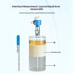 Instrument de mesure de niveau capacitif série FMI E+H Endress+Hauser, instrument de mesure d'interface, original, industriel, fabriqué en Chine - Product Image 2
