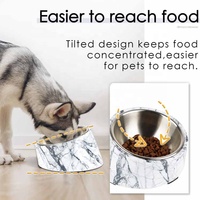 Vente en gros de produits pour chiens Bols d'alimentation en acier inoxydable pour animaux de compagnie Gamelle pour chat arrondie et inclinée Accessoires titrés de qualité supérieure