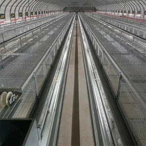 Equipo automático de sistema de jaula con batería para gallinero para pollos de 10000 capas Proveedor de fábrica de granja avícola Nueva condición - Product Image 4