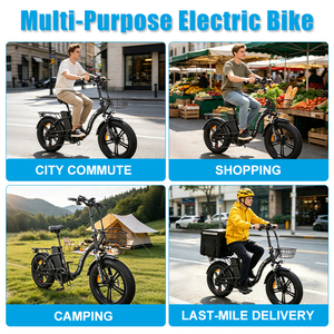 Panier avant portable et pliable OEM pour vélo pliant adulte 20 pouces KF9 avec moteur brushless 250W – Vente en gros usine - Product Image 5