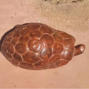 Tallados en Madera Africanos al por Mayor, Artesanía en Madera Natural Hecha a Mano para Exportación - Product Image 1