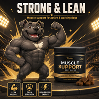 Complément Énergétique Quotidien pour Chiens : Gain de Masse Musculaire, Gommes Tendres Protéinées au Whey, Soin Quotidien, Toutes Races, Naturel, Premium, Vente en Gros