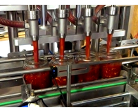 Capsuleuse linéaire sous vide à vapeur pour bocaux et bouteilles, machine de capsulage à torsion, équipement de scellage