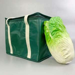 Sac isotherme isotherme réutilisable promotionnel de logo personnalisé sacs isothermes non tissés pliables de pique-nique en plein air - Product Image 5