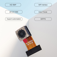 Module de caméra YC OV5640 2 mégapixels 66/120/160 degrés DVP24Pin pour carte de développement ESP32 21MM 40MM 78MM 150MM OV5640