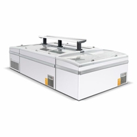 Cuisine professionnelle Restaurant Électronique Grand Congélateur Coffre Horizontal Congélateur Réfrigérateur Réfrigérateur Coffre Congélateur
