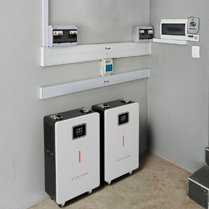 Sunark Todo En Uno Inversor Lifepo4 Batería de Litio 4000W 6000W Inversores para Sistema de Energía Solar - Product Image 6