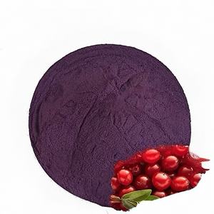 Экстракт голубики с 5% и 25% антоцианов, порошок антоцианов из голубики, порошок голубики - Product Image 1