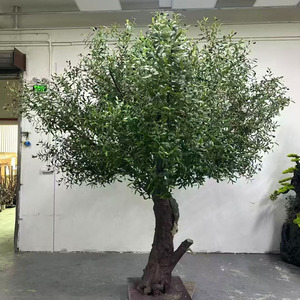 Alberi di Ulivo Artificiali in Plastica Nera, Alti 7-6 Piedi, Fatti a Mano, Ecologici, Realistici, <span class=keywords><strong>per</strong></span> Decorazione d'Interni - Product Image 5