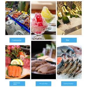 เครื่องทำน้ำแข็งบดหิมะอัตโนมัติสำหรับการค้าทำจากสแตนเลส50กก./24ชั่วโมง - Product Image 3