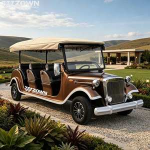 ZOWN Vehículo Eléctrico Clásico de Baja Velocidad para Turismo, 4 Ruedas, Vintage, Cero Emisiones, para Sitios Turísticos, Resorts y Uso Comercial - Product Image 1
