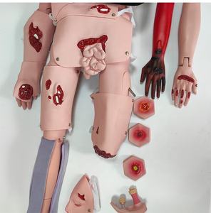 หุ่นจำลองฝึกการตรึงกระดูกหักที่ขาแบบปิด สำหรับการดูแลผู้ป่วยบาดเจ็บขั้นสูง หุ่นจำลองการดูแลภาวะบาดเจ็บกระดูกสันหลัง แบบจำลองการบาดเจ็บของมนุษย์ - Product Image 2