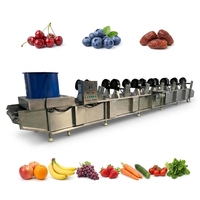Fruitwas- en droogmachine, fruitverwerkings- en reinigingsmachine