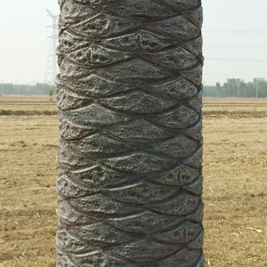 Personnaliser Taille Anti-UV Extérieur Artificiel <span class=keywords><strong>Palmier</strong></span> Dattier Ventes - Product Image 2