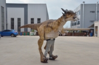 Costume de dinosaure réaliste pour adulte, modèle Vélociraptor, sur mesure, à vendre