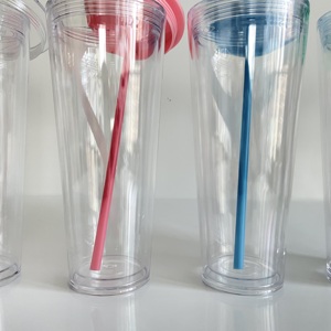 New Arrival Us Warehouse in Stock Snow Globe 24Oz Clear Acrylic Double Wall <b>Plastic</b> Tumbler Cold Water <b>Cup</b> With Straw - Product Image 2
