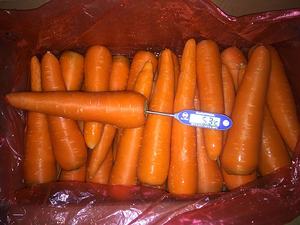 ขิงสดสีเหลืองพืชผลใหม่ - Product Image 6