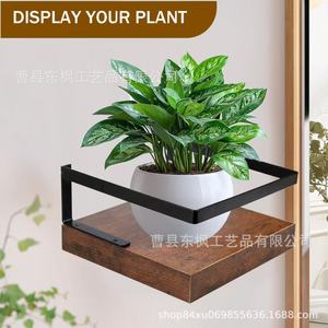 Wooden <b>Floating</b> <b>Shelf</b> <b>Wall</b> Mounted Plant Rack Iron Wood Combination Single Layer Display <b>Shelf</b> For Green Plants - Product Image 1
