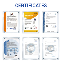 Accesorios Profesionales Multiusos para Blanqueamiento Dental, Protector de Encías y Gel Protector Gingival
