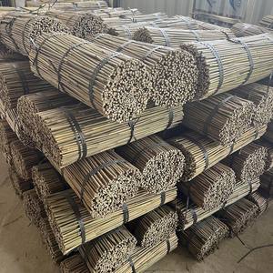 Cañas de bambú natural Postes de bambú Estaca de bambú Tonkin 120cm - Product Image 4