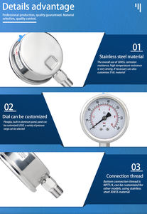 Manômetro de Pressão <span class=keywords><strong>Psi</strong></span> Personalizável com Tubo Bourdon, Manômetro de Pressão em Aço Inoxidável Resistente à Corrosão - Product Image 5