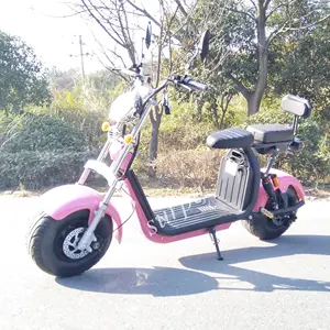 핑크 색상 2000w 두 이동식 배터리 60v12AH/20AH 자전거/자전거/citycoco 지방 타이어 오토바이 전기 스쿠터