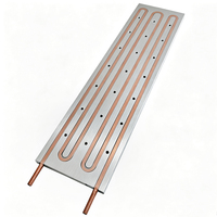 Plaque de refroidissement liquide personnalisée haute puissance 170*656*13mm, échangeur de chaleur, plaque froide en aluminium pour élément Peltier