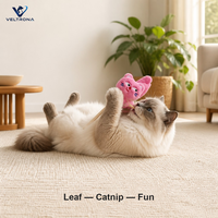 Jouet à mâcher à la catnip pour chats, jouet à mordre en peluche à la catnip avec boule suspendue, tissu duveteux, visage brodé