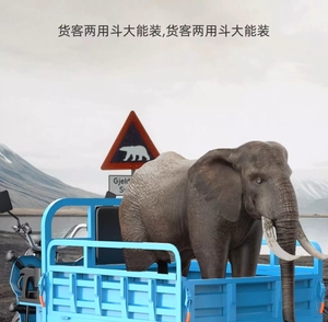 Vélo électrique Offre Spéciale à 3 <span class=keywords><strong>roues</strong></span> à <span class=keywords><strong>vendre</strong></span> Tricycle électrique de moto de cargaison - Product Image 5