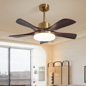New LED 50000 - Product Image 3