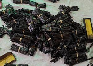 ฝักวานิลลาแห้งตากแดดธรรมชาติ 100% ขนาด 18 ซม. เกรด A จากมาดากัสการ์ สำหรับทำขนมโฮมเมด - Product Image 4