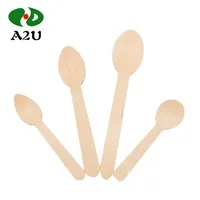 Mini Japanese Wooden Spoon, Biodegradable, Disposable