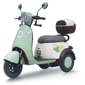 Tricycle pliable pour passagers, scooter de loisirs pour adultes 60V - Product Image 3