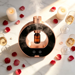 Mini <span class=keywords><strong>diffuseur</strong></span> <span class=keywords><strong>d</strong></span>'arômes électrique rond en métal, nébuliseur <span class=keywords><strong>d</strong></span>'huiles pures sans eau, <span class=keywords><strong>diffuseur</strong></span> <span class=keywords><strong>de</strong></span> <span class=keywords><strong>parfum</strong></span> <span class=keywords><strong>de</strong></span> luxe pour la maison, <span class=keywords><strong>diffuseur</strong></span> <span class=keywords><strong>de</strong></span> <span class=keywords><strong>parfum</strong></span> <span class=keywords><strong>de</strong></span> bureau - Product Image 6