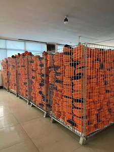 Kit di fune cinetica da 6m X 25mm 15T resistente strumenti di emergenza per 4X4 fuoristrada Kit di recupero cinetico di emergenza - Product Image 5