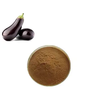 Pure Organic Eggplant Extract Powder Aubergine