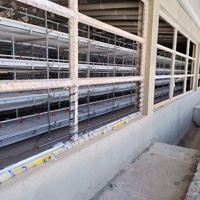 Cages d'élevage de batterie de poulet de viande de volaille entièrement automatiques à prix bon marché Offre Spéciale à vendre pour la ferme de volaille de poulet au Ghana