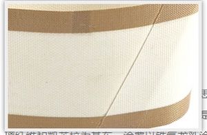 Yüksek sıcaklığa dayanıklı yapışmaz asit ve <span class=keywords><strong>Alkali</strong></span> dayanıklı lojistik konveyör bant konveyör bant eğme - Product Image 2