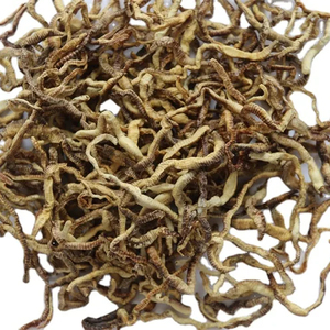 Fabrika fiyatları dondurularak kurutulmuş pelet solucanlar balık maması cilt ve ceket sağlığı için % 100% doğal Protein - Product Image 1