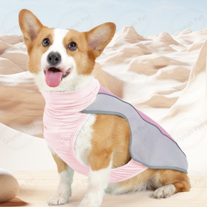 Verano transpirable <span class=keywords><strong>perro</strong></span> Cooler Jacket reflectante al aire libre <span class=keywords><strong>perro</strong></span> <span class=keywords><strong>chaleco</strong></span> de refrigeración - Product Image 4