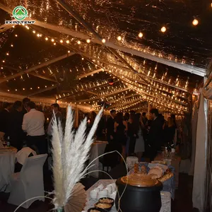 PVC malzeme beyaz veya şeffaf özel yapılmış 8*30 9*30 10*30 düğün olay Marquee çadır
