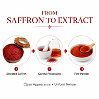 Poudre d'extrait de safran de haute pureté, safranal standardisé, qualité alimentaire, OEM, ODM, marque privée, vente en gros, approvisionnement en vrac, directement de l'usine