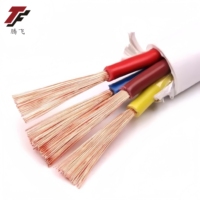 Lager verfügbar Fabrik Direkt verkauf Haushalts anwendung Guter Service RVV 3-adrig 0, 5 6 mm2 500V PVC-Elektrokabel