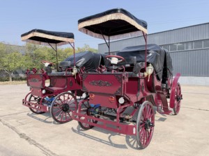 HengYiSheng Chariot Électrique Touristique Européen pour Mariages, Type Calèche, Autres Normes d'Émissions, Autres Puissances - Product Image 4
